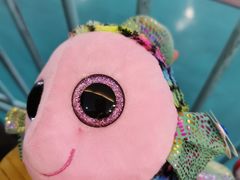 -海合安苏州阳澄半岛乐园