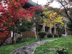 -少华山国家森林公园