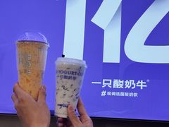 -一只酸奶牛(八一路店)
