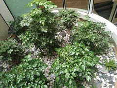 -香港ELEMENTS圆方