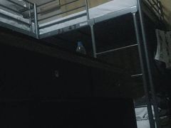 -南京夫子庙国际青年旅舍(平江府路店)