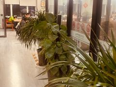 -朝阳区图书馆(小庄店)