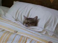 -渝福顺重庆火锅(雷锋路店)