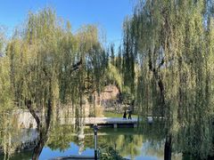 -洛阳白马寺
