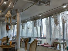 -共舞时光猫咖·狗咖(新街口店)