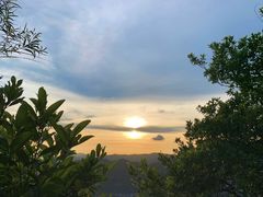 -狮子山郊野公园
