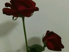 -幸福蓝海国际影城(宜昌水悦城店)