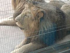 -鄂尔多斯野生动物园