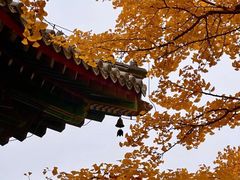 -红螺寺