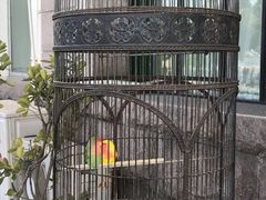 -老味道民宿(栈桥店)