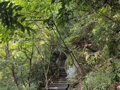 -铁山坪森林公园