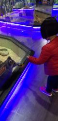-未来动物城主题公园(正弘城店)