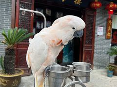 -四海楼(如皋定慧禅寺店)