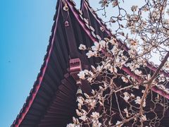-灵谷景区