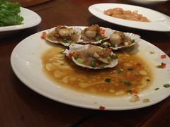 扇贝粉丝-京福华肥牛城·清真(香河店)