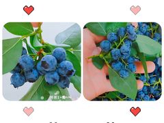 -花果山生鲜超市(浑河湾店)