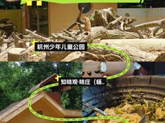 -杭州少年儿童公园