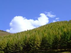 -塞罕坝国家级自然保护区