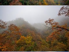 -光雾山旅游景区