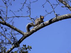 -叠溪松坪沟景区