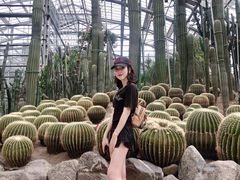 -南山植物园
