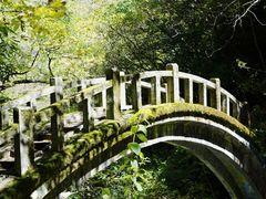 -神农架香溪源景区