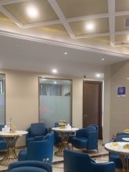 -碧莲盛·不剃发植发