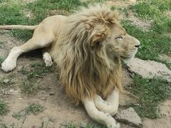 -辛玛王国游乐园