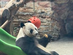 -石家庄市动物园