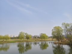 -洋湖国家湿地公园