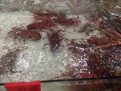 iphone_upload_pic-渔傅·蓝海岸霞浦海鲜(正祥店)