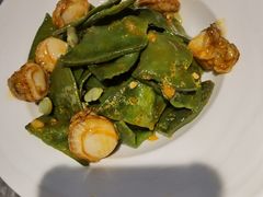 -前海沿·青岛菜(乐客城店)