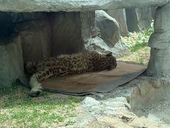 -青藏高原野生动物园