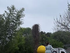 -燕塞湖鸟语林景区