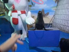 -泉城欧乐堡海洋极地世界