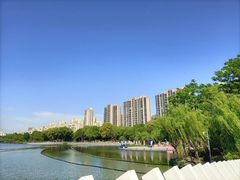 -南翔镇银翔湖公园