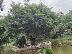 -深圳野生动物园