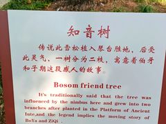 -古琴台