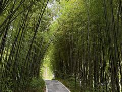 -河南省黄河迎宾馆
