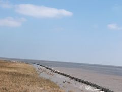 -南汇嘴观海公园