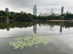 -荔枝公园(福田区)