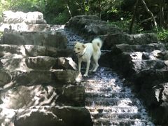 -十渡东湖港风景区