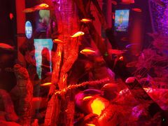 -沈阳海洋探索中心