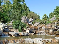 -东莞植物园