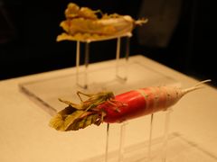 -河南博物院