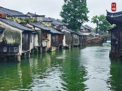-乌镇景区
