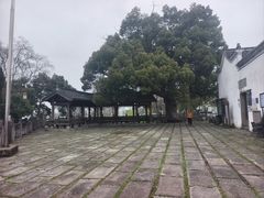 -东梓关景区村庄