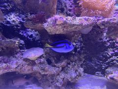 -泉城欧乐堡海洋极地世界