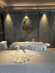 -VELEE·SPA高定疗愈会所