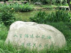 -鹅湖玫瑰文化园